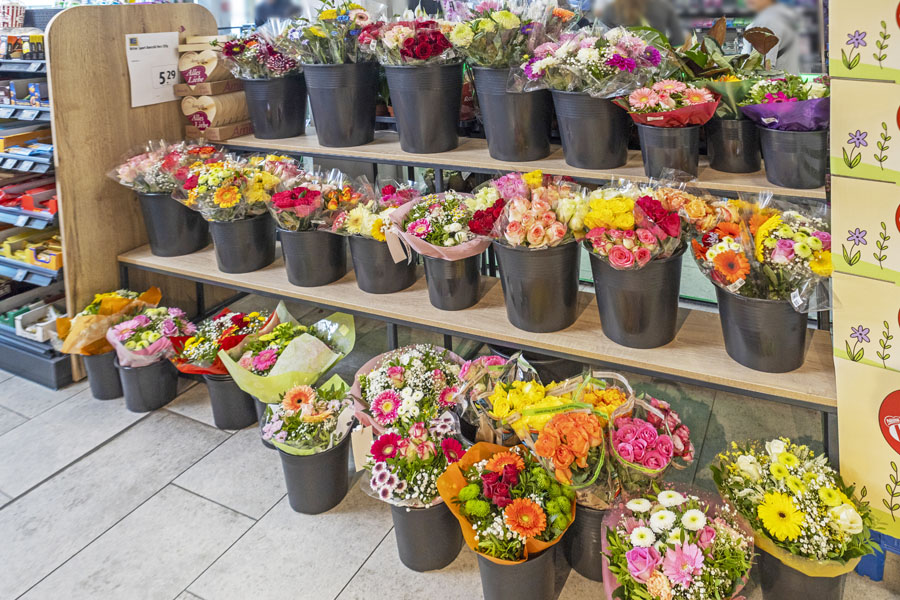 EDEKA Krombholz Stuttgart-Ost Blumen